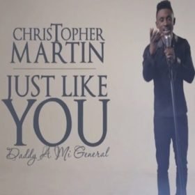 Just Like you music video - Chris martin