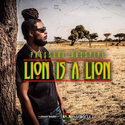lion-is-a-lion-music-video