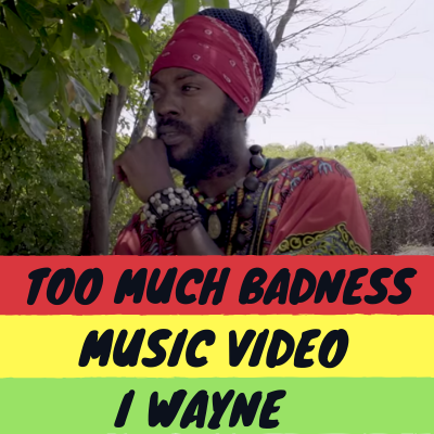 Too Much Badness Music Video